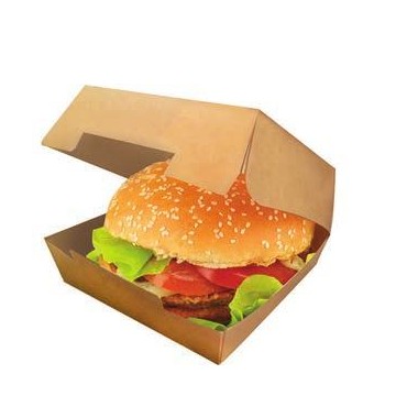 Burger Box Bio Da Asporto